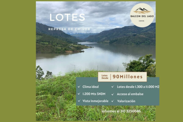 Dribbble shot - 1 (1)