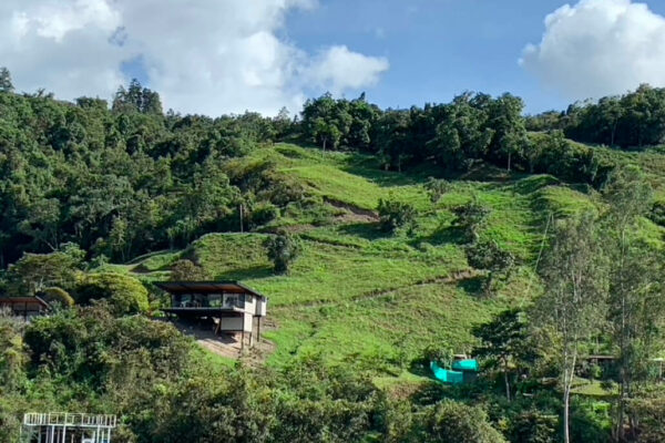 Dribbble shot - 1 (5)