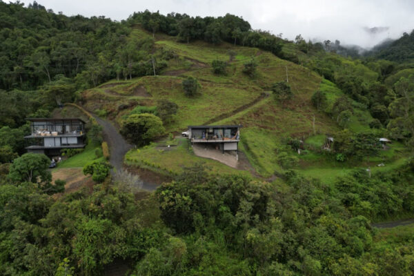 Dribbble shot - 1 (6)