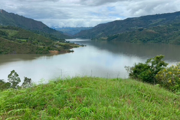 Dribbble shot - 1 (7)