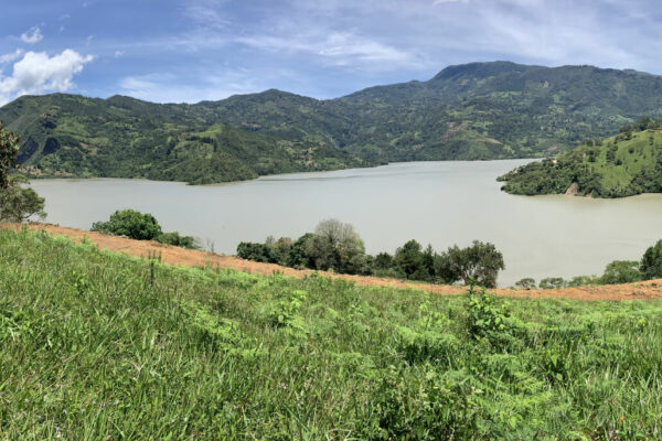 Dribbble shot - 2 (1)