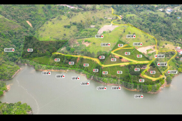 Dribbble shot - 2 (4)